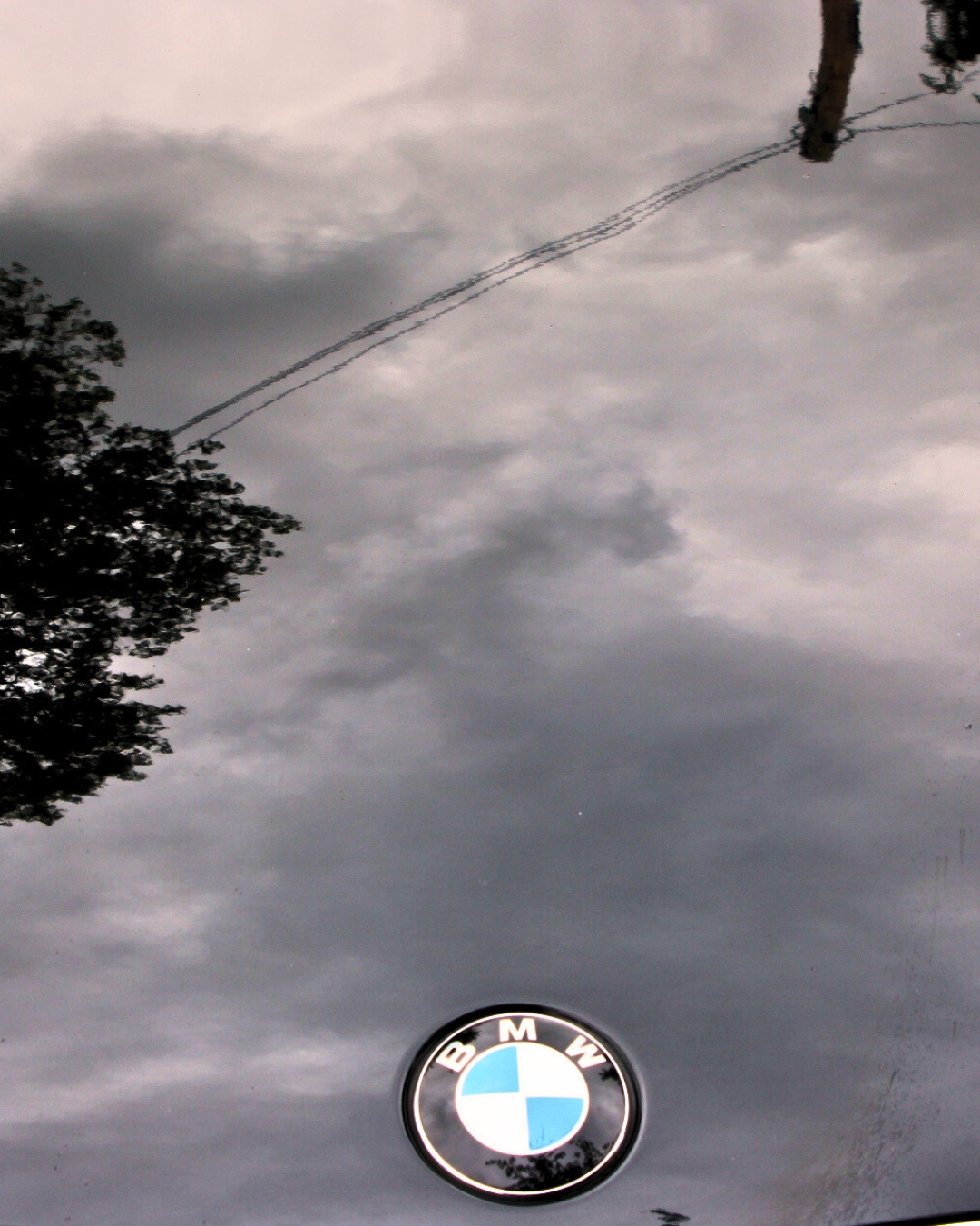Flight and Flora's photography of the reflection of the sky on a black bonnet for a BMW